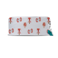 Gorro quirúrgico Uro blanco